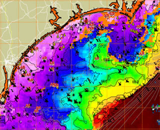 SEECast Satellite Sea Surface - Sea Surface Temperature.webp