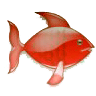 Jeremy