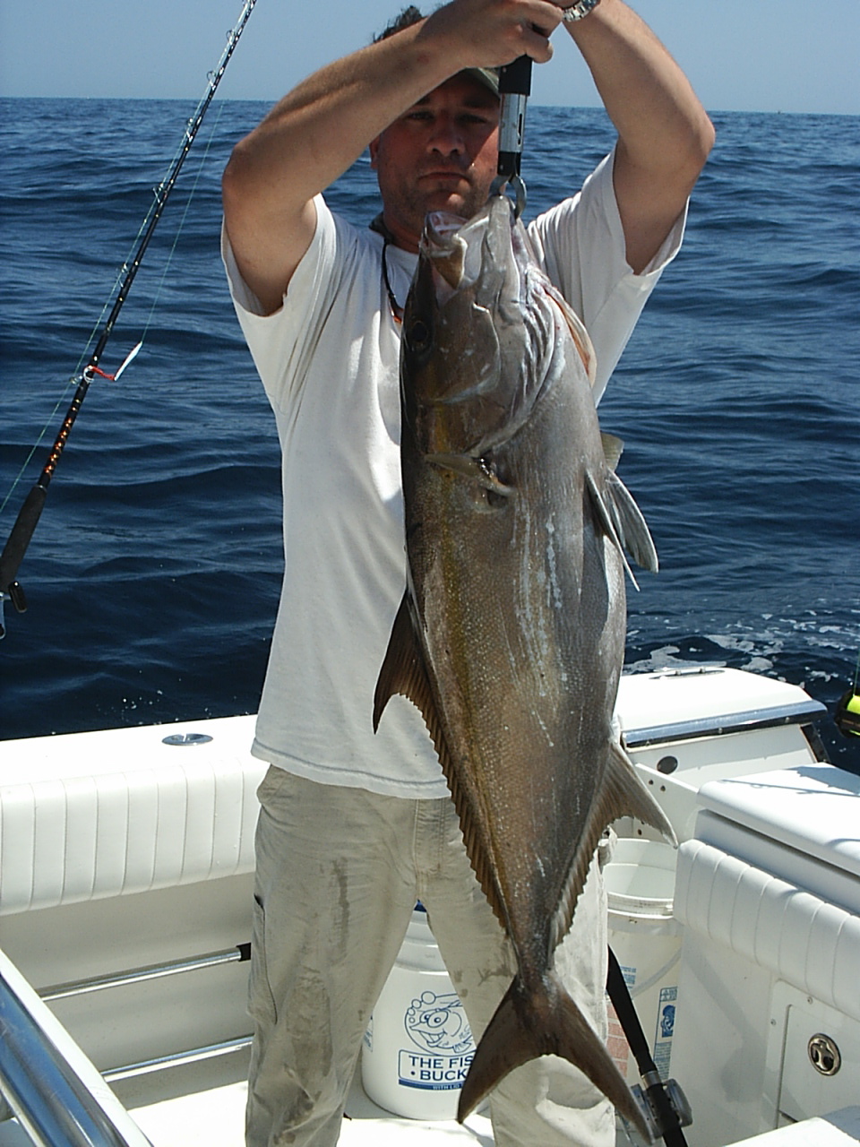 greater_amberjack_107.jpg